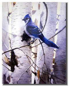 osceola_art_and_frame006008.jpg