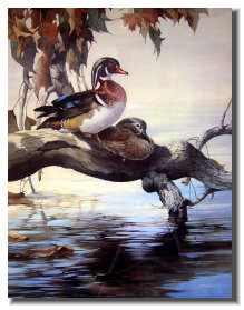 osceola_art_and_frame006011.jpg