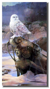 osceola_art_and_frame006013.jpg
