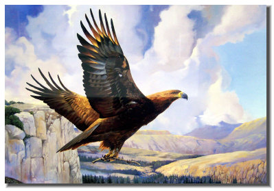 osceola_art_and_frame006015.jpg