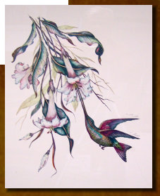 osceola_art_and_frame009005.jpg
